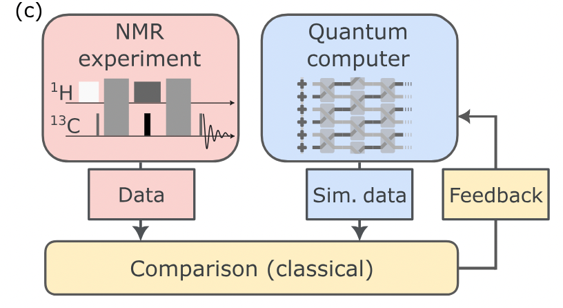 [Paper (p)review] Quantum Computation of Molecular Geometry via Many-body Nuclear Spin Echoes – Did we just enter an era of practical Quantum Computing?